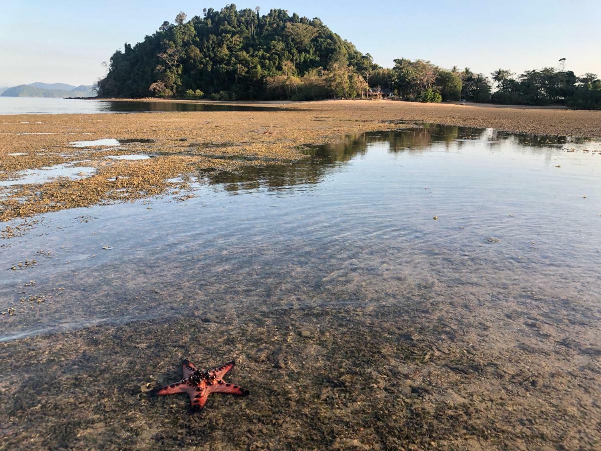 Reggae Island Private Island Ξενοδοχείο Koh Phayam Εξωτερικό φωτογραφία