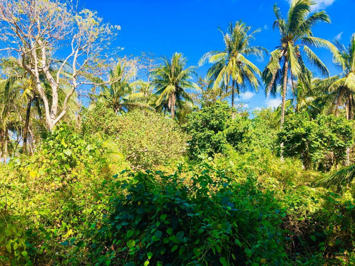 Reggae Island Private Island Ξενοδοχείο Koh Phayam Εξωτερικό φωτογραφία